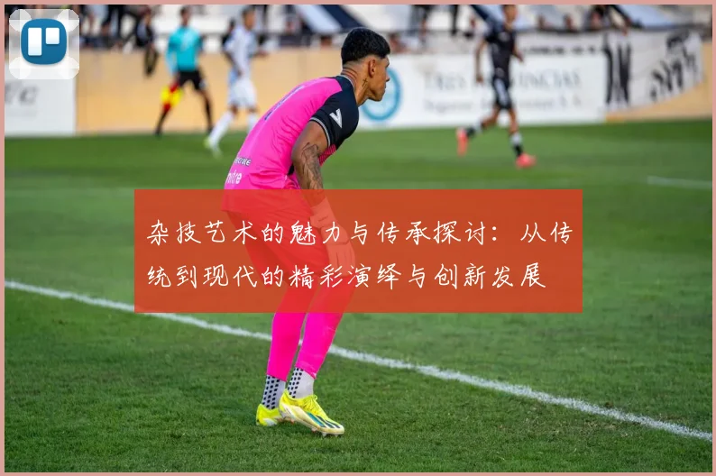 杂技艺术的魅力与传承探讨：从传统到现代的精彩演绎与创新发展