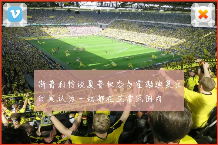斯普利特谈夏普状态与霍勒迪复出时间认为一切都在正常范围内