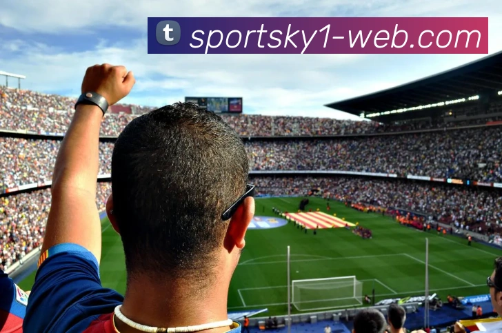 开云体育平台生态图